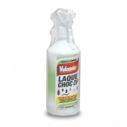 Anti Punaises de lit insecticide Laque 1L